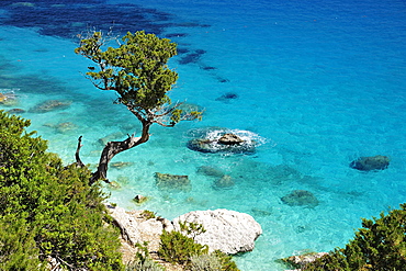 Goloritzv®, Baunei, Ogliastra, Sardinia, Italy, Europe