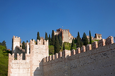 Scaligero castle of Soave, Veneto, Italy, Europe