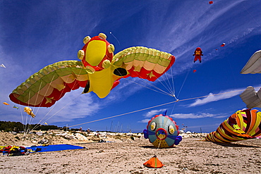 Kites festival, Trapani, Sicily, Italy, Europe