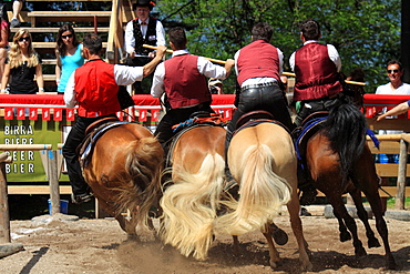 Cavalcata Oswald von Wolkenstein historical ride, Castelrotto, Alpi di Siusi, Trentino Alto Adige, Italy, Europe