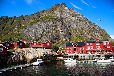 Lofoten, A, a fishing village located towards the southern end of the Lofoten archipelago, Norway, Europe