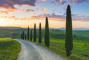 Church of Santa Vitaleta, Val d'Orcia, Tuscany, Italy, Europe