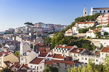 View of a residential district of Lisbon surrounded by trees and church under a blue summer sky, Lisbon, Estremadura, Portugal, Europe