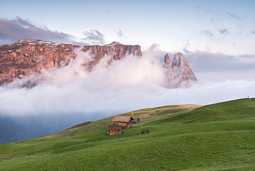 Alpe di Siusi/Seiser Alm, Dolomites, Alto Adige, Italy, Europe. Sunrise on the Seiser Alm / Alpe di Siusi. In the background the peaks of Sciliar/Schlern, Euringer and Santner