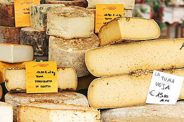 Closeup of Italian cheese with relative price tags at the Moncalvo truffle fair, Moncalvo, Piedmont, Italy, Europe