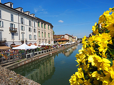 Fiori sul Naviglio, Sunday garden and flower's market, Naviglio Grande, Milan, Lombardy, Italy, Europe