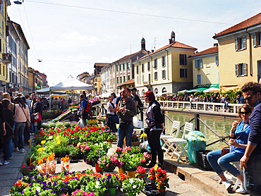 Fiori sul Naviglio, Sunday garden and flower's market, Naviglio Grande, Milan, Lombardy, Italy, Europe