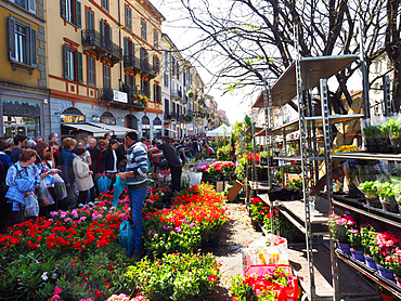 Fiori sul Naviglio, Sunday garden and flower's market, Naviglio Grande, Milan, Lombardy, Italy, Europe