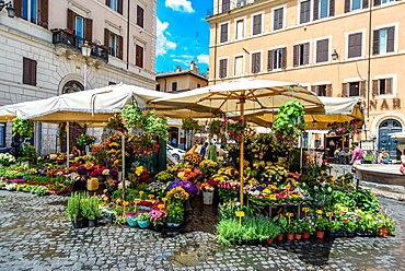 Campo de Fiori square, Flowers,  daily market with the statue of Giordano Bruno in the background, Rome, Lazio, Italy, Europe