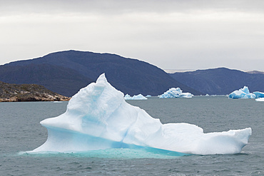 Icebergs drifting in the fjords of southern greenland. America, North America, Greenland, Denmark