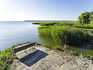 Landscape in the Usedomer Schweiz on the shore of the Peenestrom on the island of Usedom. Europe,Germany, Mecklenburg-Western Pomerania, Usedom, June