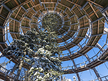 Look out of the Canopy Walkway of the visitor center of the National Park Bavarian Forest (Bayerischer Wald) in Neuschoenau in the deep of winter.    Europe, Germany, Bavaria, January