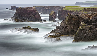 Landscape on the Eshaness peninsula. The famous cliffs and sea stacks of Eshness, a major attraction on the Shetland Islands. the cliffs are a major part of the Geopark Shetland, showing a cross section of a 395 mio years old vulcano  europe, central europe, northern europe, united kingdom, great britain, scotland, northern isles,shetland islands, june