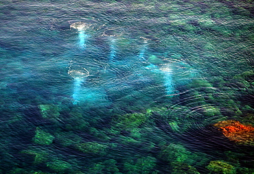 Aerial view, thermal springs near Punta Peppemaria or Punta di Peppe e Maria, Panarea Island, Aeolian Island, Sicily, Italy, Europe