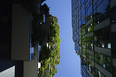 Bosco Verticale, Vertical Forest is a pair of residential towers designed by Boeri Studio in the Porta Nuova district, Bosco Verticale won the International Highrise Award, Milan, Lombardy, Italy, Europe