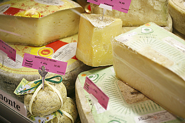 Delicatessen Giolito Formaggi, specialized in typical Piedmontese cheeses, Bra, Piedmont, Italy, Europe