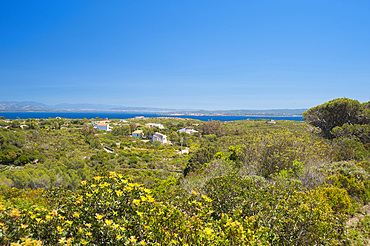 Carloforte, Island of San Pietro, Sardinia, Italy, Europe