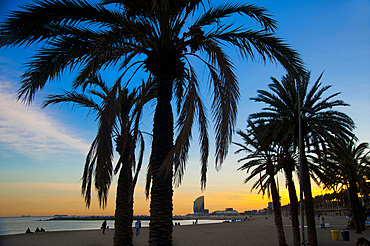 Playa de Barceloneta, Barcelona, Catalonia, Spain, Europe