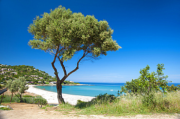 Tarco beach, Corsica, France, Europe