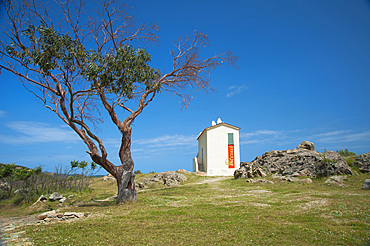 Baccialù, San Pietro di Tenda, Corsica, France, Europe