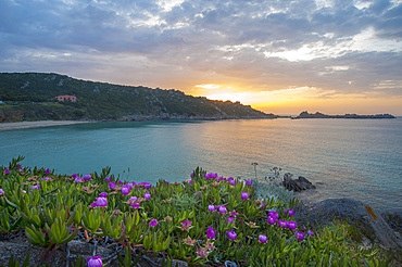 Sunset on the beach of Rena Bianca beach, Santa Teresa di Gallura, Sardinia, Italy, Europe