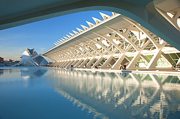 Museu de les Ciences Principe Felipe, Valencia, Spain, Europe