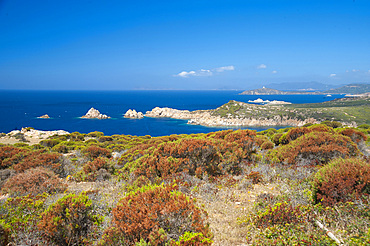 The Coast of Cape Spartivento and Cape Malfatano, Chia, Domus de Maria, Sardinia, Italy, Europe