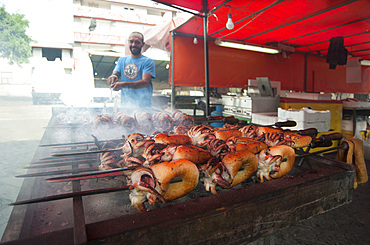 Cuttlefish on the spit, Mullet Grilled, Typical Sardinia recipe, Feast of Santa Vitalia, Serrenti, Campidano, Sardinia, Italy, Europe,