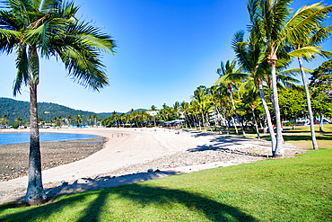 Fairy Tree Park in Airlie Beach, Australia.