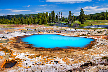 Black Opal Pool in Biscuit Basin, Yellowstone National Park, Wyoming.