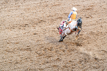 Cody Rodeo Rider in Wyoming. Scene with horse and man.