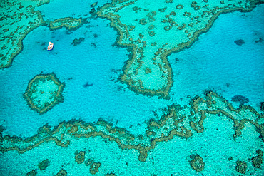 Natural Great Barrier Reef in Queensland. Aerial view of nature paradise with magnificent colors.