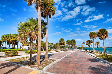 Palms and park along Rickenbacker Causeway, Maimi.