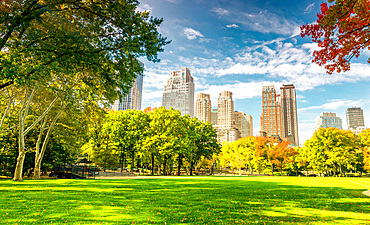 Beautiful foliage colors of New York Central Park.