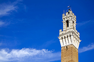 Piazza del Palio, Siena city, Tuscany, Italy, Europe.