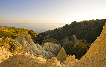 Pizzi Bianchi, Epomeo mountain, Serrara Fontana, Ischia island, Campania, Italy, Europe