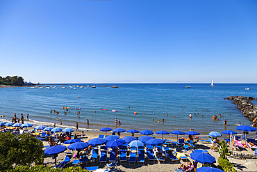 Ischia island, Naples, campania, Italy, Europe.