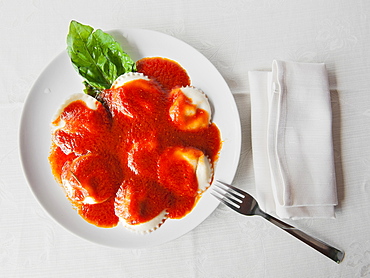 Fresh hand made pasta, ravioli filled with ricotta cheese, with fresh tomatoe souce and organic basil, Il Giardino Di Epicuro restaurant, the epicurean garden, Maratea, Basilicata, Italy, Europe