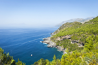 Coast on the Tyrrhenian Sea near Maratea, Basilicata, Italy, Europe