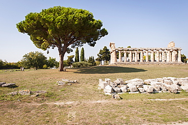 Temple of Athena, Paestum archeological area, UNESCO, World Heritage Site, province of Salerno, Campania, Italy, Europe