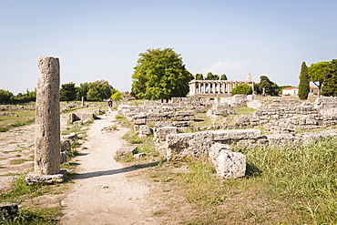 Temple of Athena, Paestum archeological area, UNESCO, World Heritage Site, province of Salerno, Campania, Italy, Europe