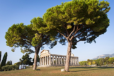 Temple of Athena, Paestum archeological area, UNESCO, World Heritage Site, province of Salerno, Campania, Italy, Europe