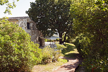 il Cannito B&B Paestum, Cilento, Campania, Italy, Europe