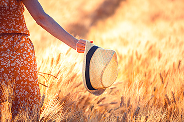 Beautiful girl in a wheat field. Natural sunlight during sunset, Italy, Europe