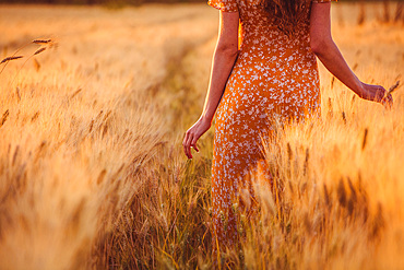 Beautiful girl in a wheat field. Natural sunlight during sunset, Italy, Europe