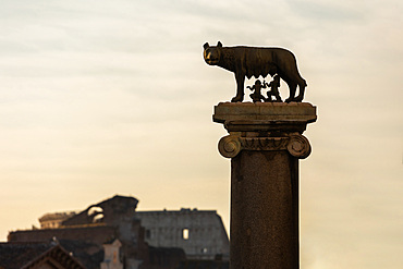 The statue of the Capitoline Wolf with Romulus and Remus and the Coliseum in background, Rome, Lazio, Italy, Europe