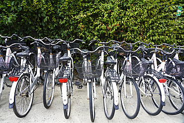 Bicycles for hire, The Pirelli Hangar Bicocca Foundation, contemporary art gallery, Milan, Lombardy, Italy, Europe