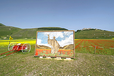 Sibillini Mountains National Park, summer Flowering, Castelluccio di Norcia, Umbria, Italy, Europe