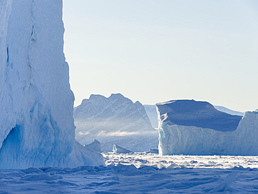 Icebergs frozen into the sea ice of the Uummannaq fjord system during winter in the the north west of Greenland, Uummanaq Island in the background. North America, Greenland, danish territory