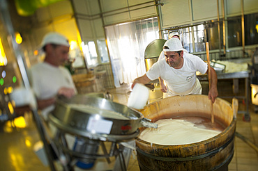 Production of the excellent buffalo mozzarella from Campania at the dairy La Baronia; Caserta; Campania; Italy